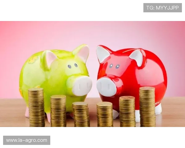 专业ag百家乐代理操作技巧，提升您的赢率和收益