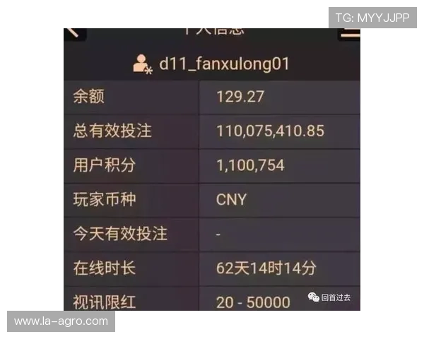 全面解析ag百家乐赢钱玩法细节助你把握赢面提高盈利效率