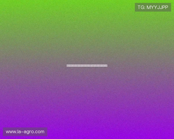 百家乐平注模式的优势与风险分析，帮助玩家理性选择投注方式