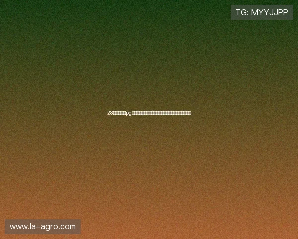 28圈娱乐下载pg：世界杯足球赛的精彩瞬间与明星球员的精彩表现回顾