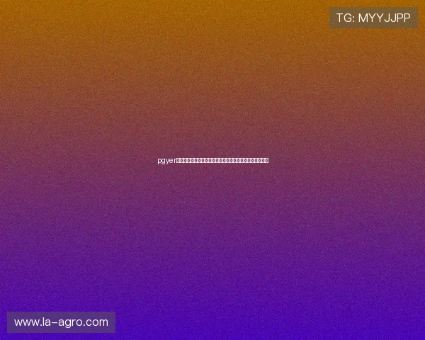 pgyer是干嘛的在世界杯期间如何帮助体育网站快速发布赛事资源
