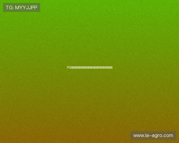 PG南宫下载平台为用户提供最新的世界杯新闻资讯与赛事直播链接